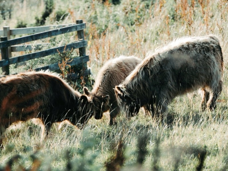 I miss my&nbsp;camera.