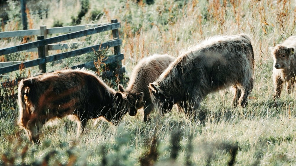 I miss my&nbsp;camera.