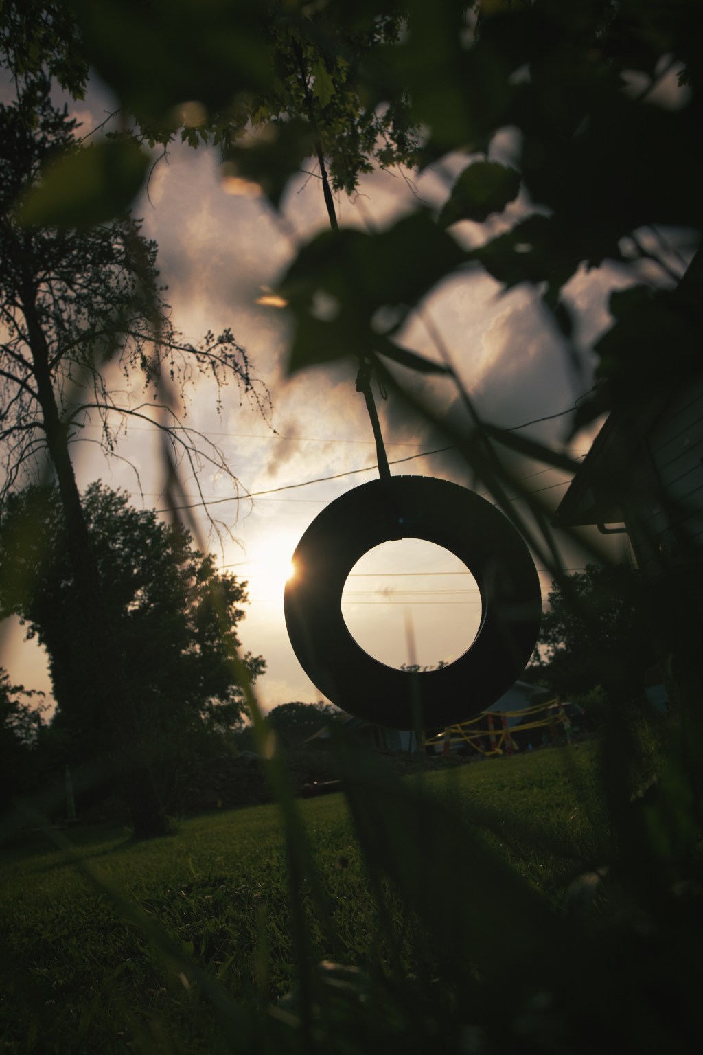 My June 2025 Photo&nbsp;Challenge